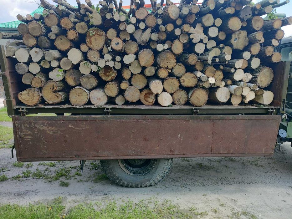 Дрова різних порід