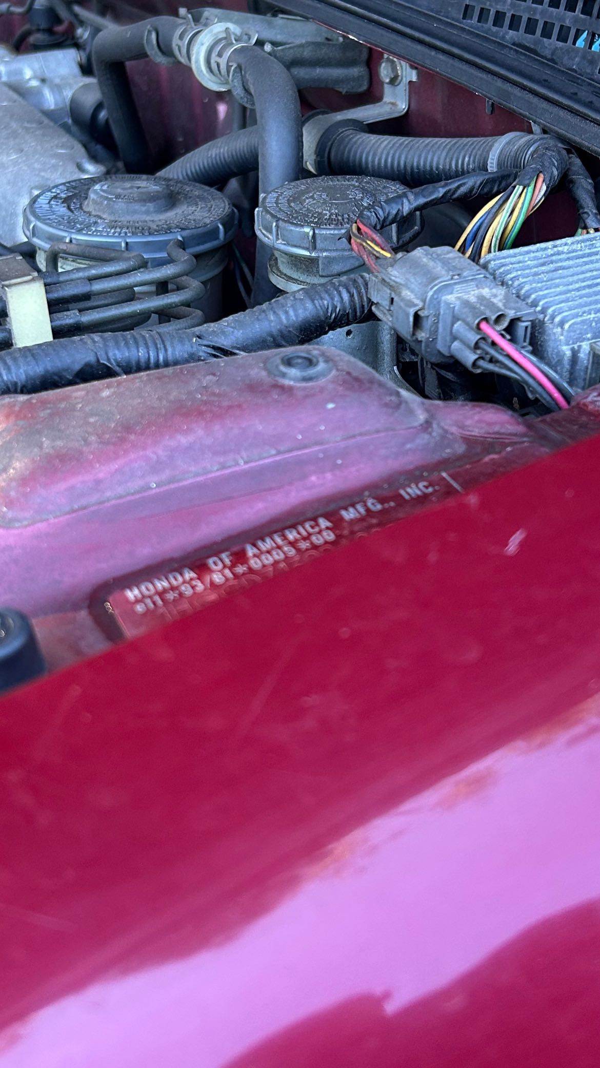 Honda accord coupe