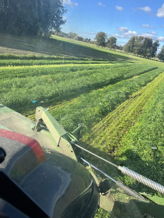 Sianokiszonka z mieszanki gorzowskiej