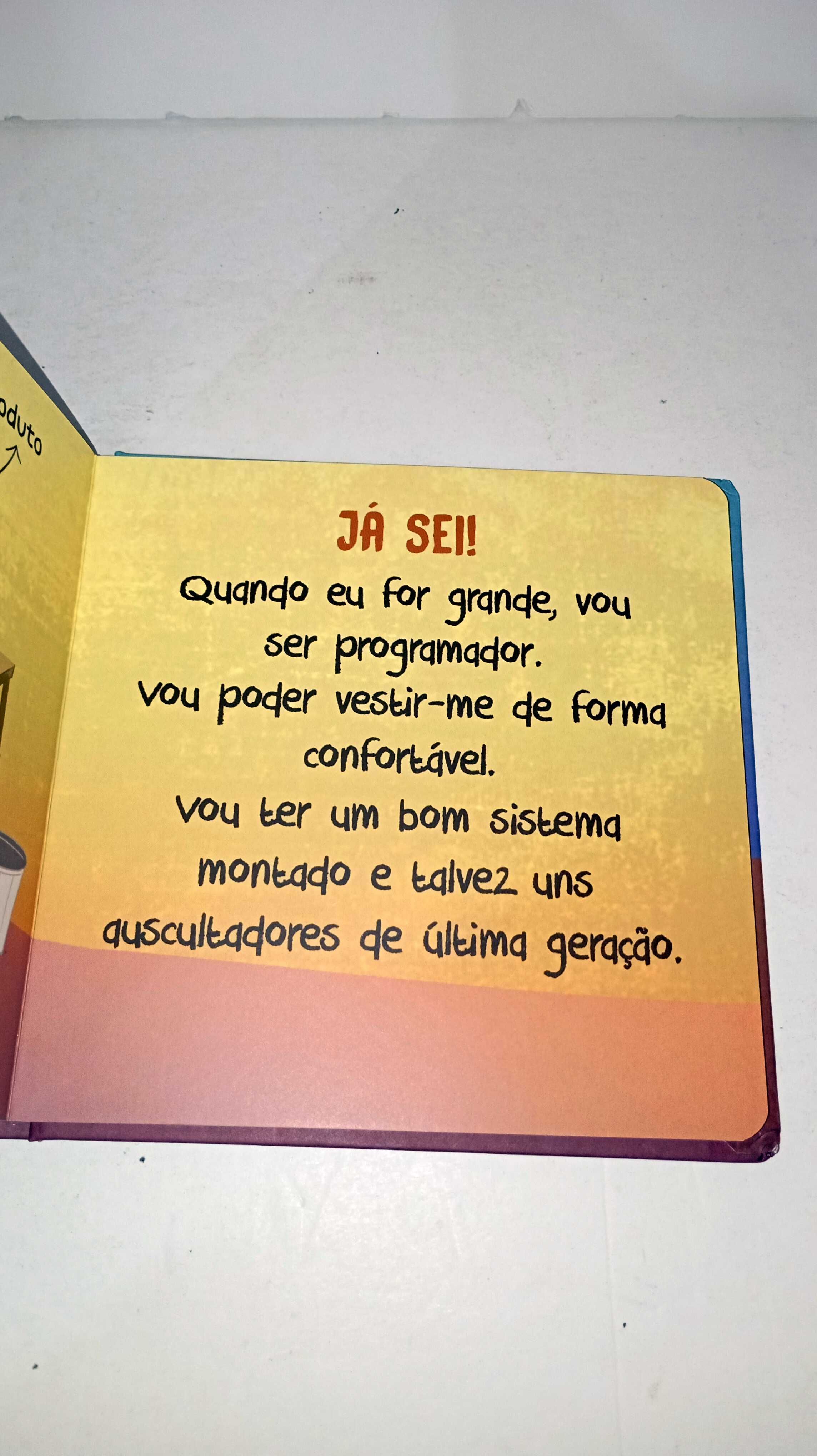 Quando eu for Grande: Programador