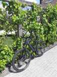 Rower elektryczny, ebike BULLS TWENTY EVO 1 CX, rozmiar XL