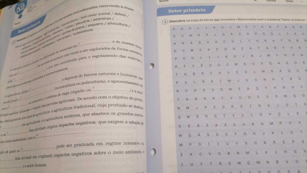 PLANETA - Geografia - 8.º Ano Caderno de atividades