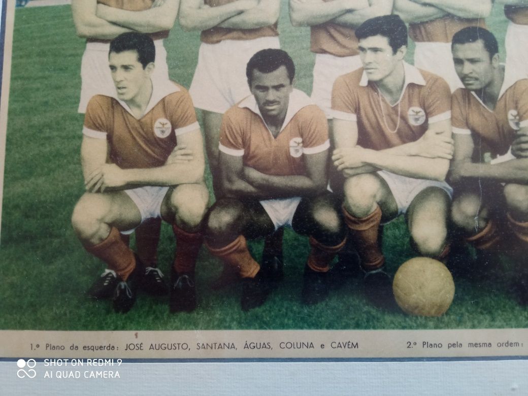 Quadro Benfica anos 60