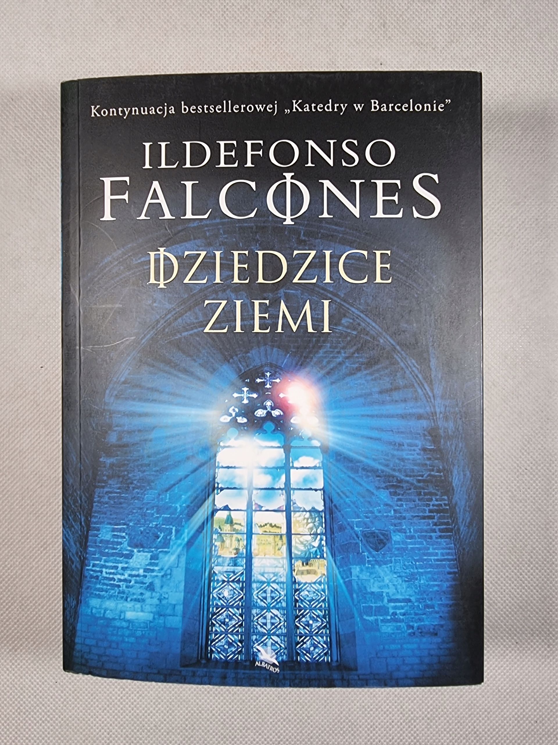 Dziedzice Ziemi / Ildefonso Falcones