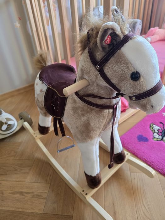 Konik na biegunach