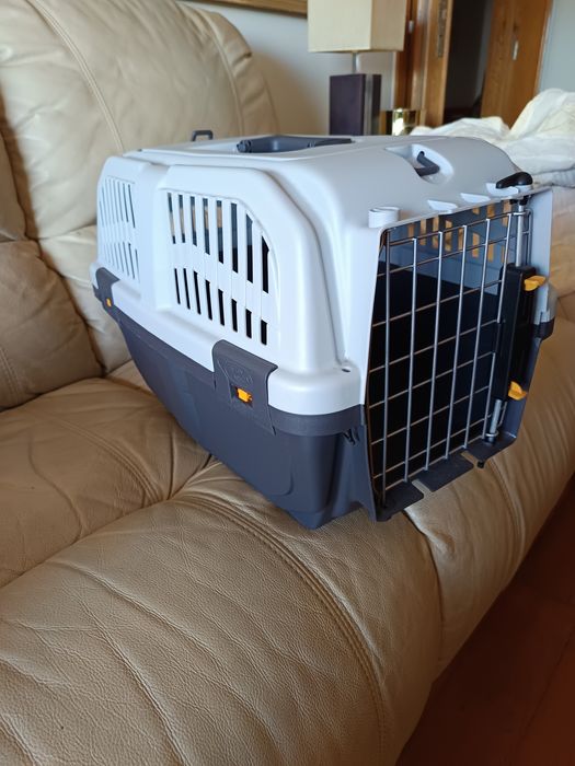 Cães e gatos , caixa de transporte