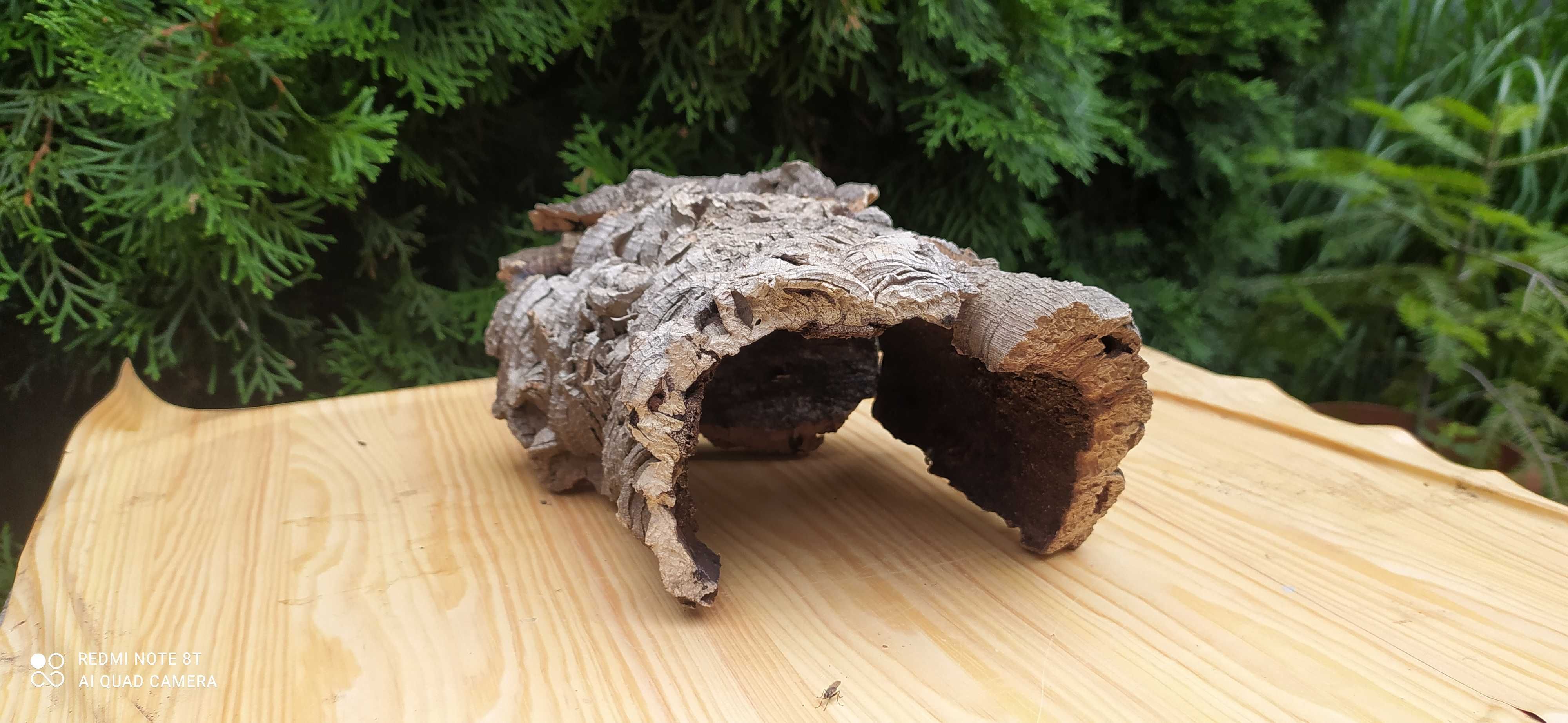 Grota z dębu korkowego do terrarium