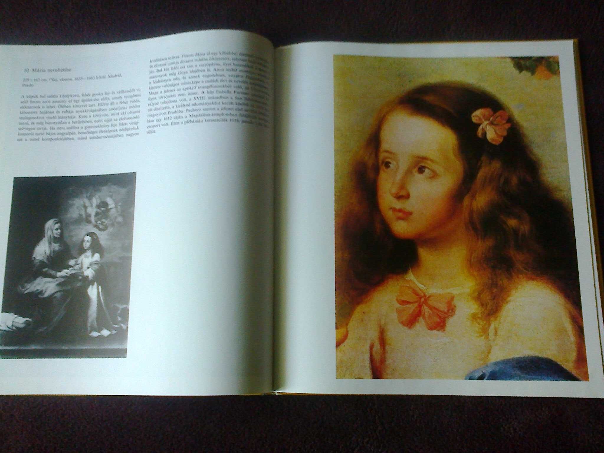 Книга на венгерском Murillo
