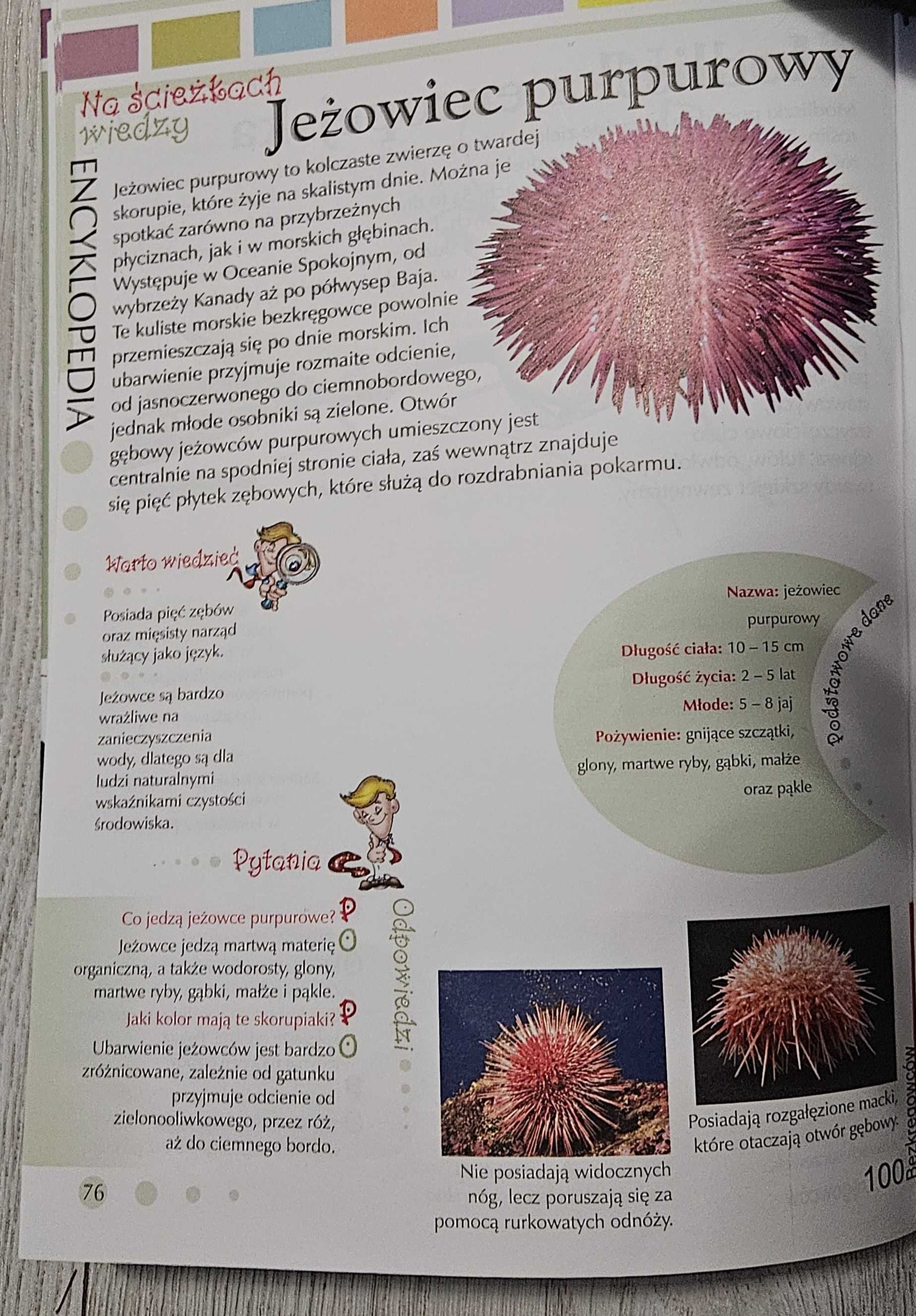 Książki " 101 ciekawostek; ludzkie ciało" i "100 bezkręgowców"