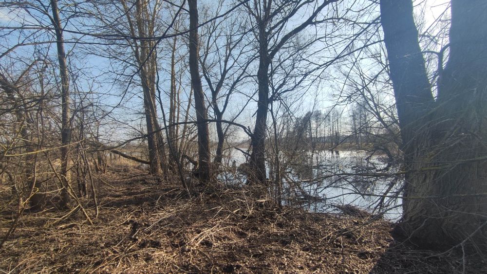 Земельна ділянка с. Гориця v.Gorica Chernihiv district