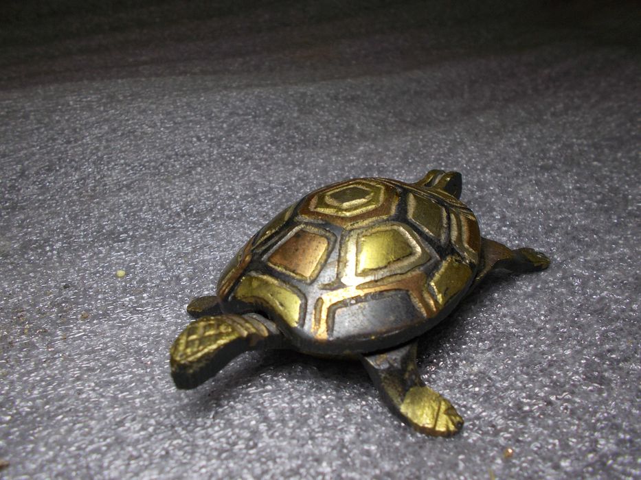 Шкатулка Черепаха