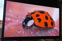 50" Full HD Телевізор телевизор LG 50PV350