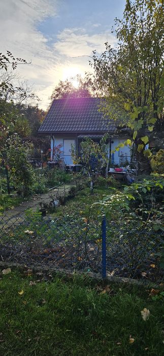 Działka ROD znajdująca się  na Księży Młynie.