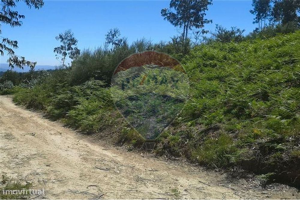 Terreno  para venda