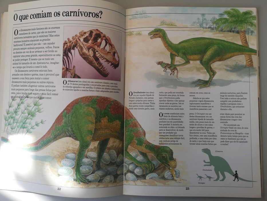 Os Dinossauros BBC Book