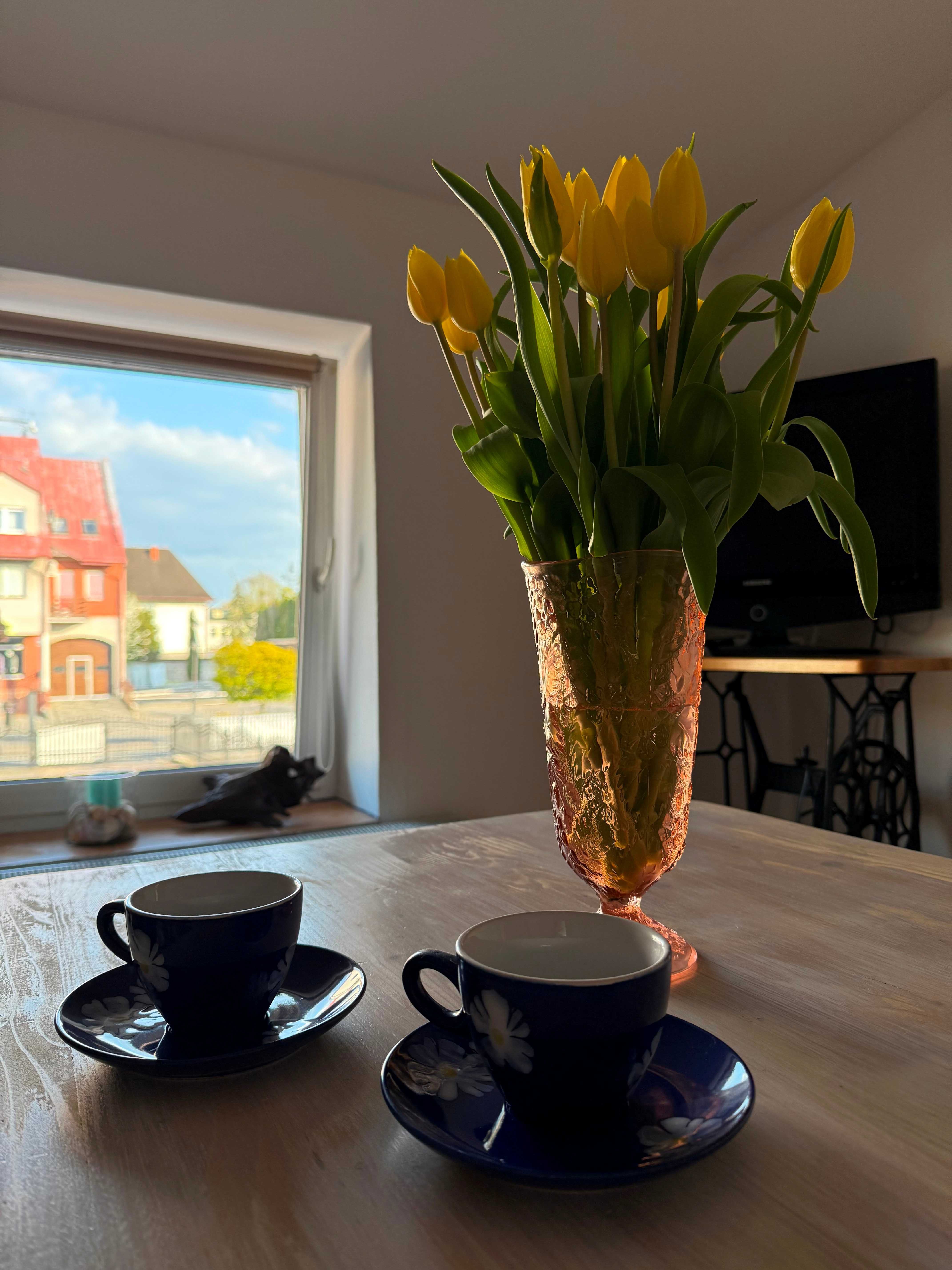 Studio dwupokojowe z łazienką i kuchnią