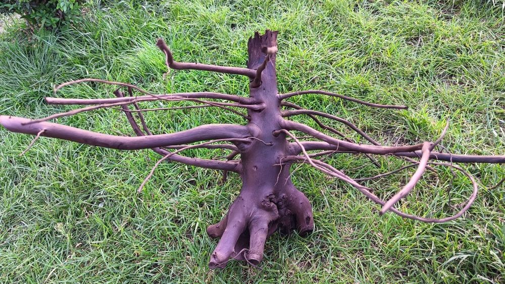 Коряга в аквариум