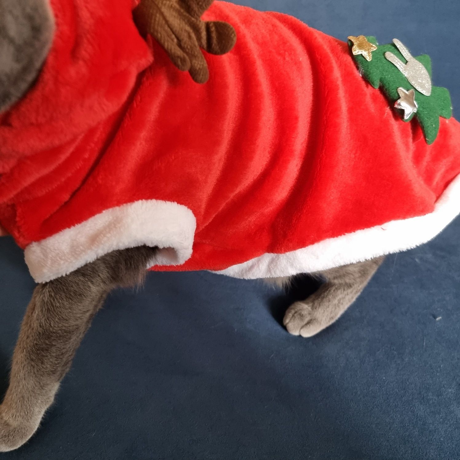 Одяг для собак - новорічне оленятко
