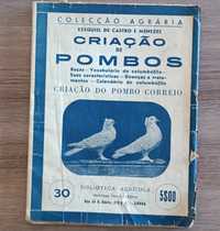 Criação de Pombos - Ezequiel de Castro e Menezes