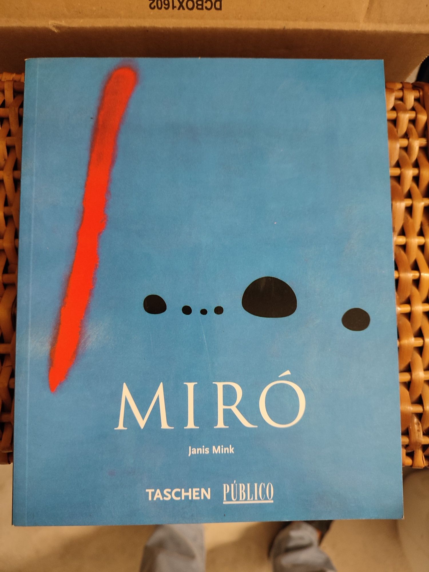 Livros sobre Pintura (Miró e Aurelia de Souza)