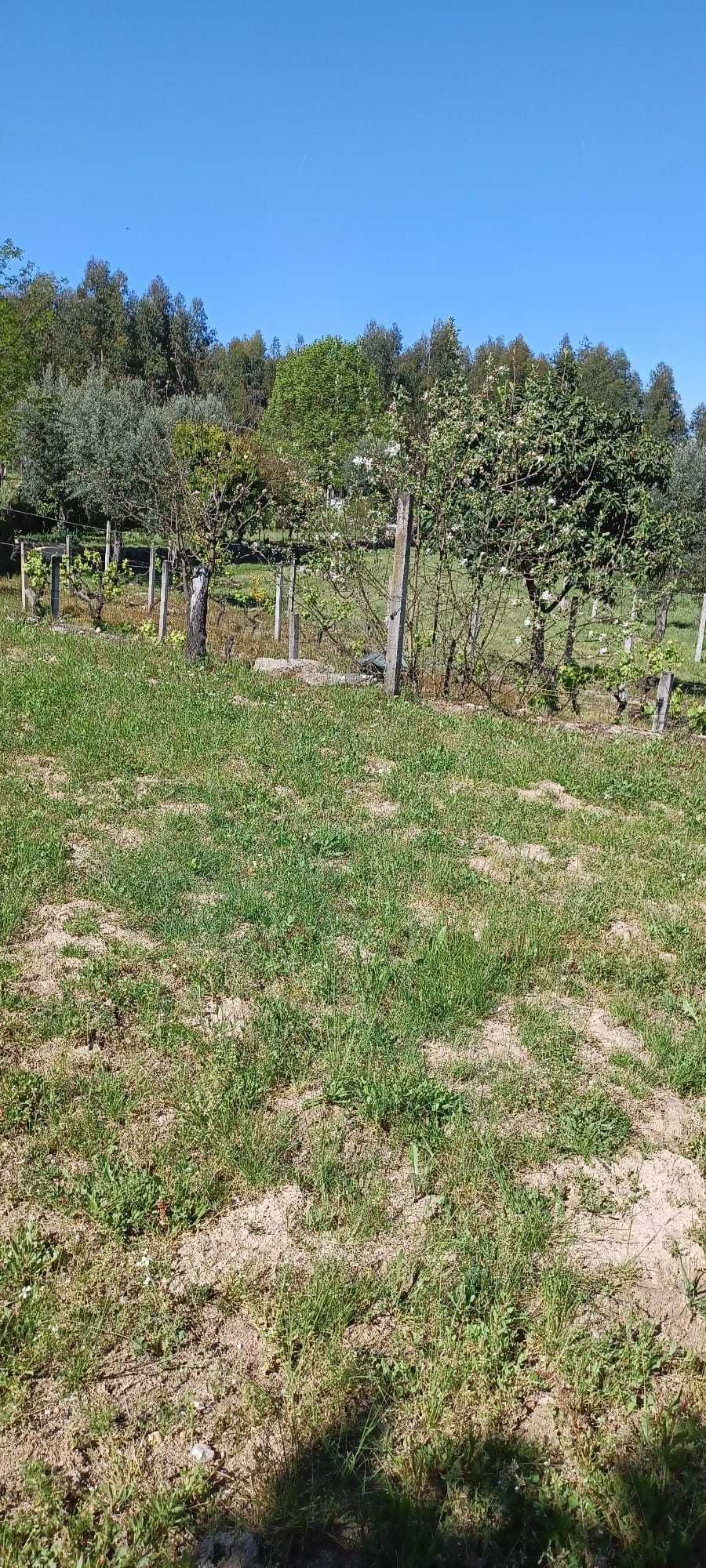 Quinta + Mata com vista para a Serra da Estrela