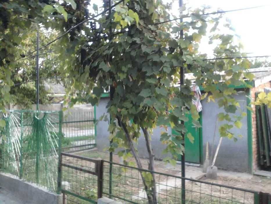 (13)  Продам два частных дома на участке
