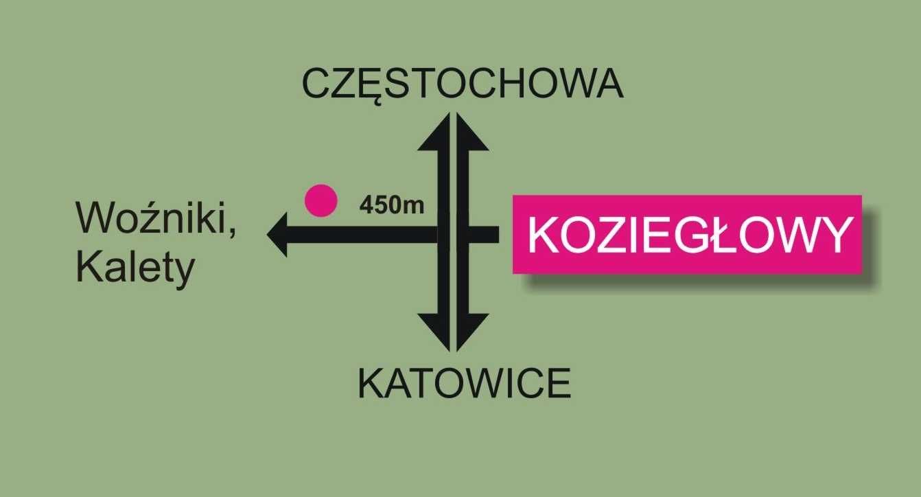 Migdałek, Wiśnia Pissardii, jabłonie  ozdobne szczepione 1,2mPRODUCENT