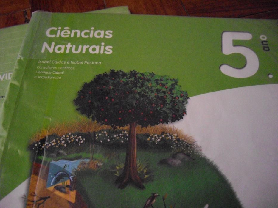 Fichas e Manual Ciências Naturais - 5º ano - Santillana