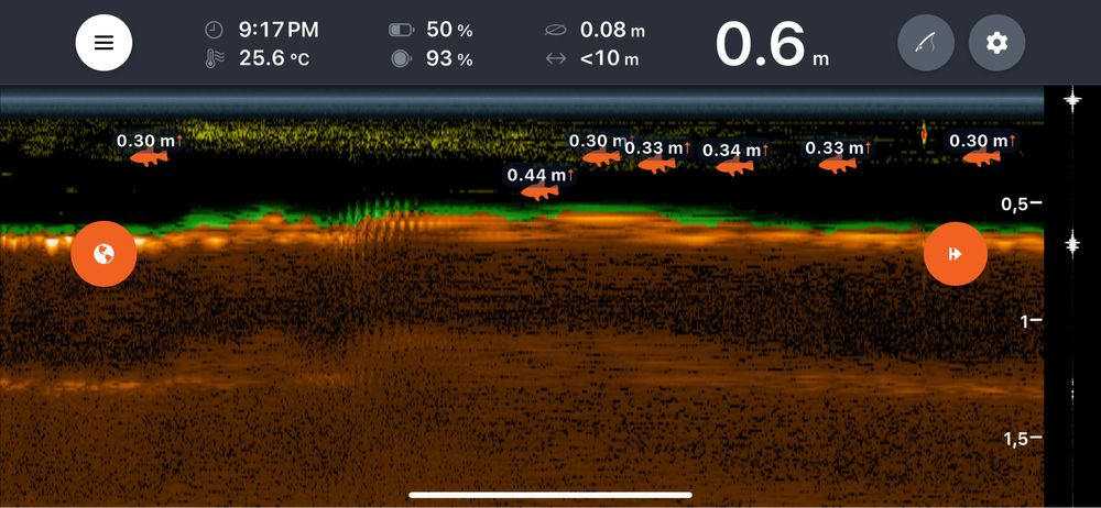 Echosonda Deeper Chirp+ z dodatkami- stan idealny