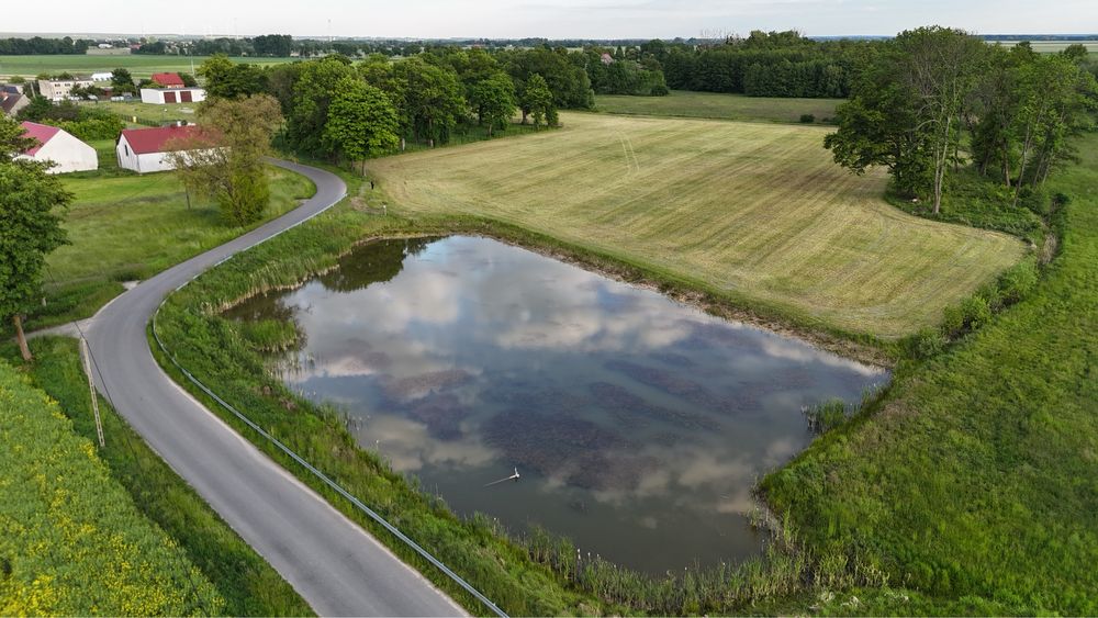 Sprzedam nieruchomość dworek w parku ze stawem