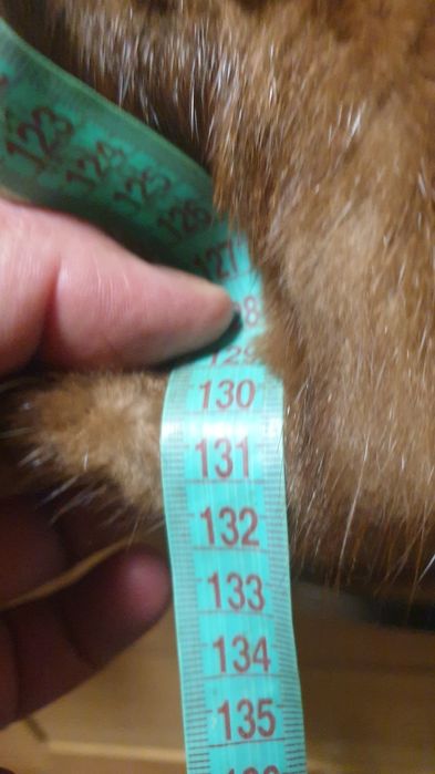 Шуба натуральная норковая