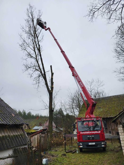 Podnośnik Koszowy Zwyżka Wycinka Drzew Gałęzi Montaż Reklam Wysięgnik
