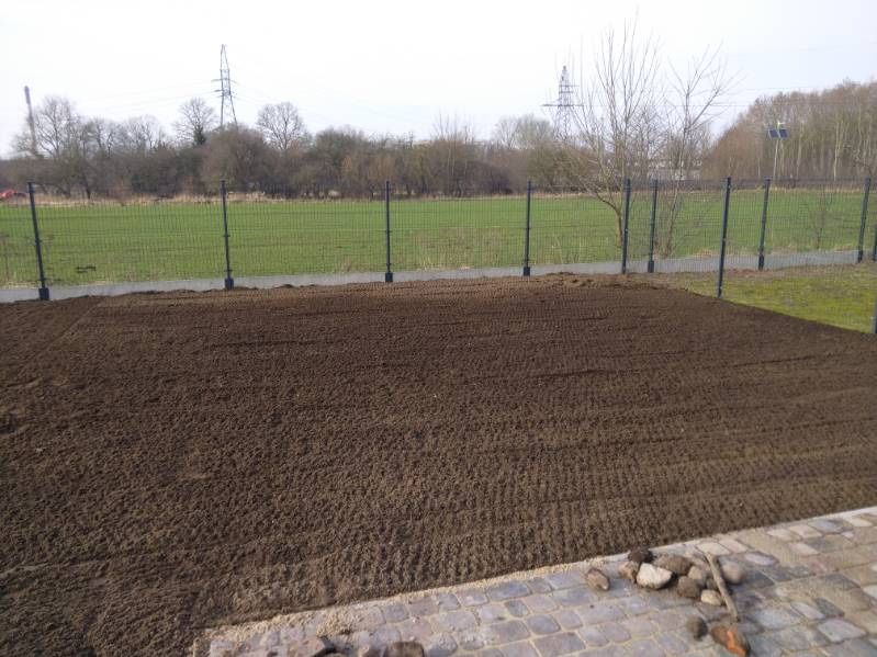 Trawa w rolce, trawa z rolki, 40m2 z dostawą pod sam dom