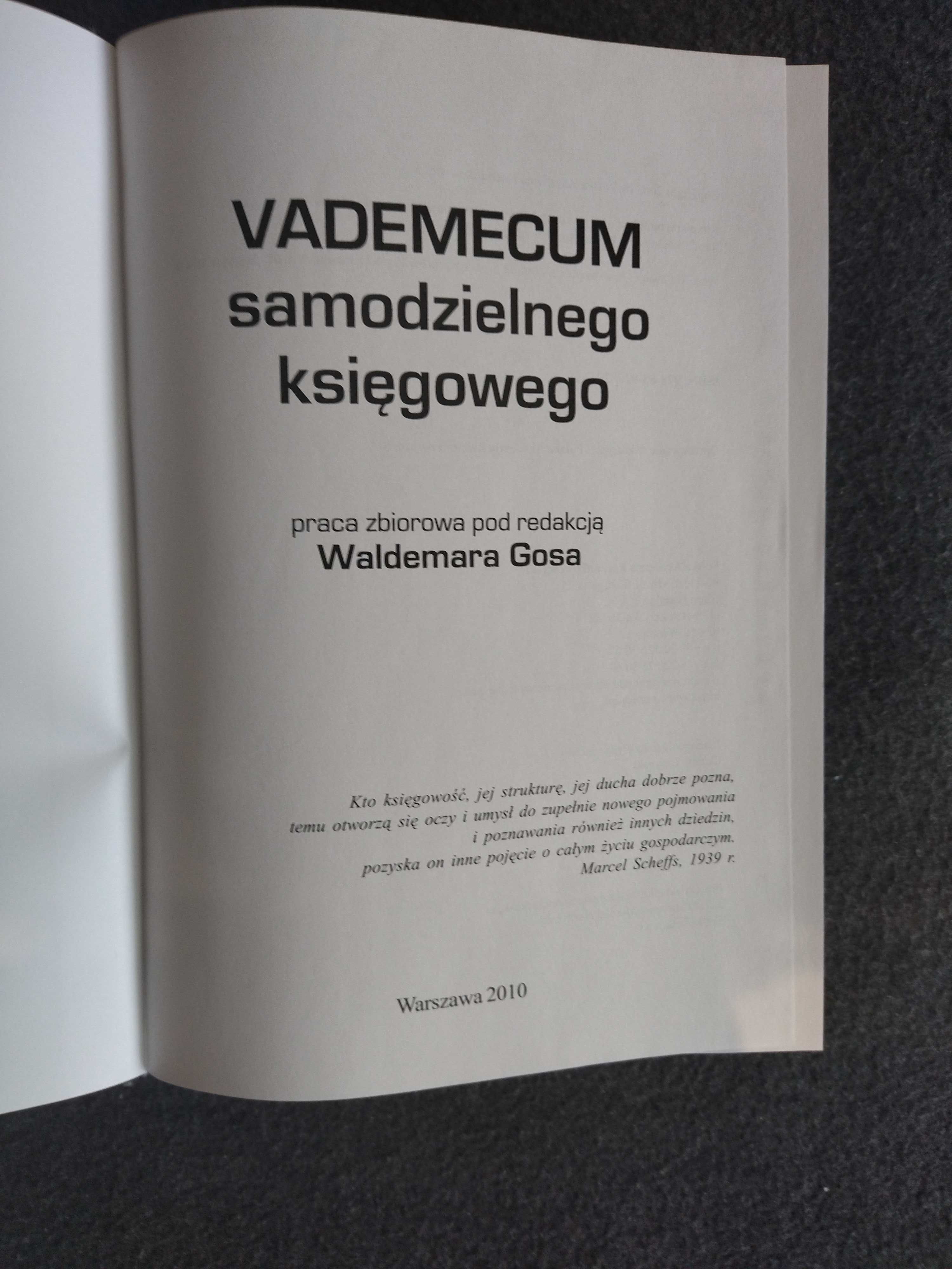 Vademecum samodzielnego księgowego