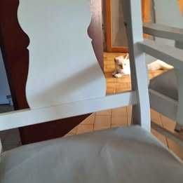 2 cadeiras com braços madeira maciça IKEA