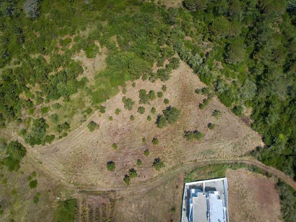 Terreno de Colina para Residência de Luxo em Famalicão, Nazaré.