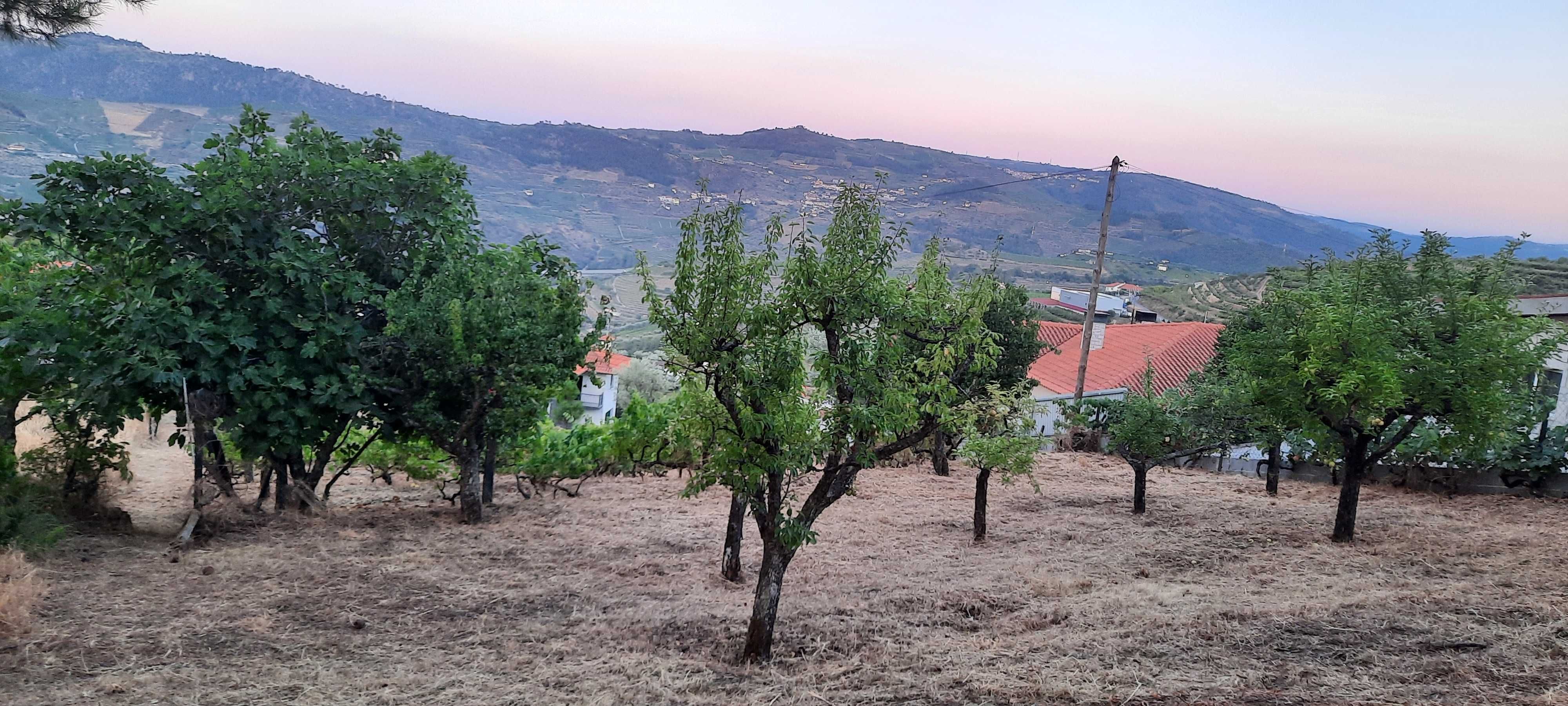 Terreno para venda