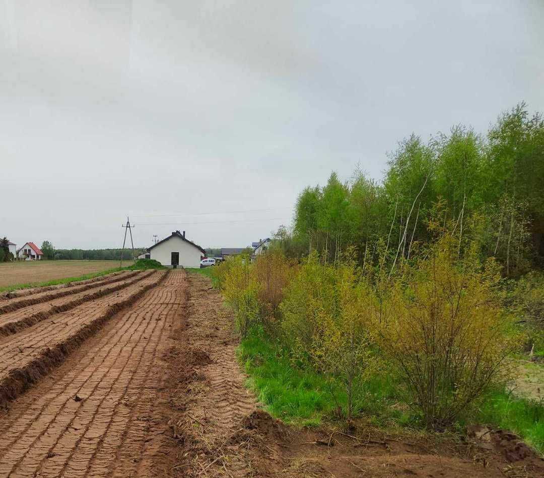 Czyszczenie działek z zakrzaczen/Wycinka drzew metodą alpinistyczną