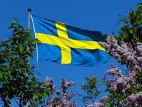 Język szwedzki, lekcje, nauka, pomoc, korepetycje.
