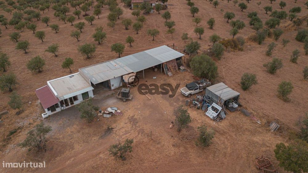 Vende-se Terreno agrícola com 49.750 m² (4,975 ha) em Portel, com oliv
