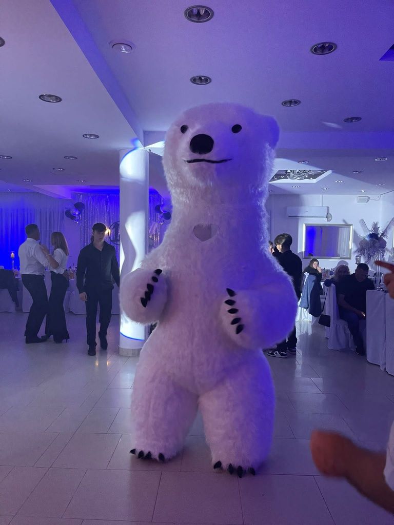 DJ wodzirej na imprezę , fotobudka 360 , duży miś , fontanna iskier