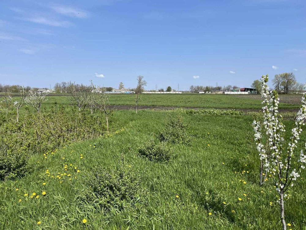 Дом в силе.Магдалиновский раен село Новопетровка