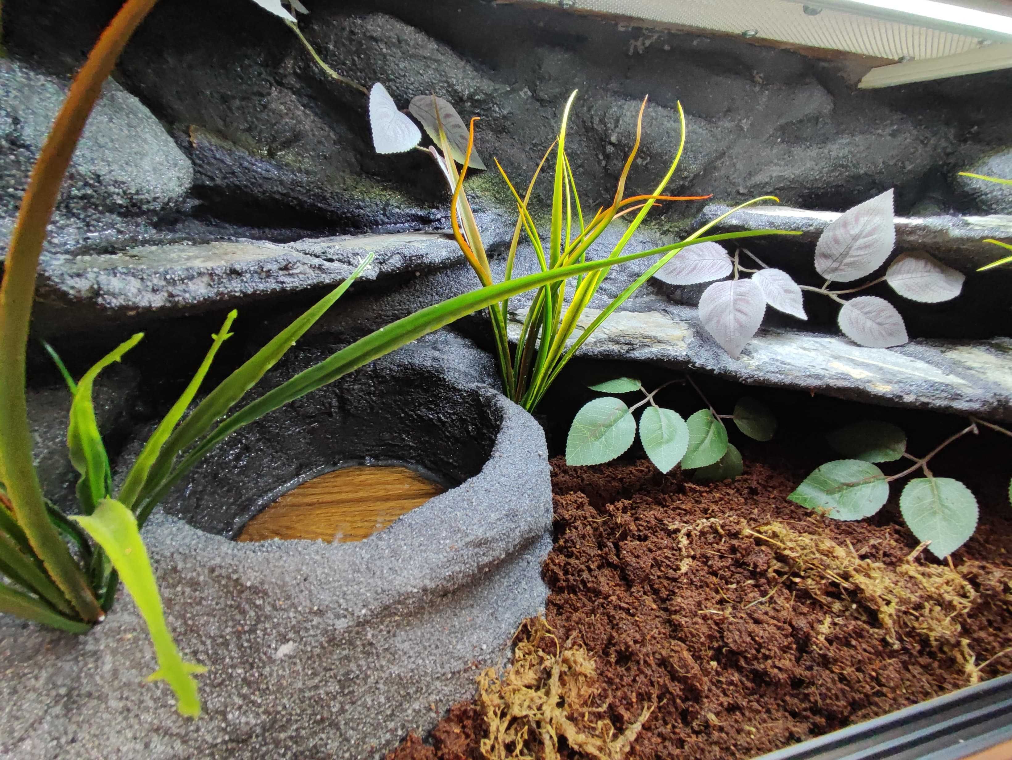 Terrarium pustynne nr745 80/40/40 dla węża boa pyton DOSTĘPNE