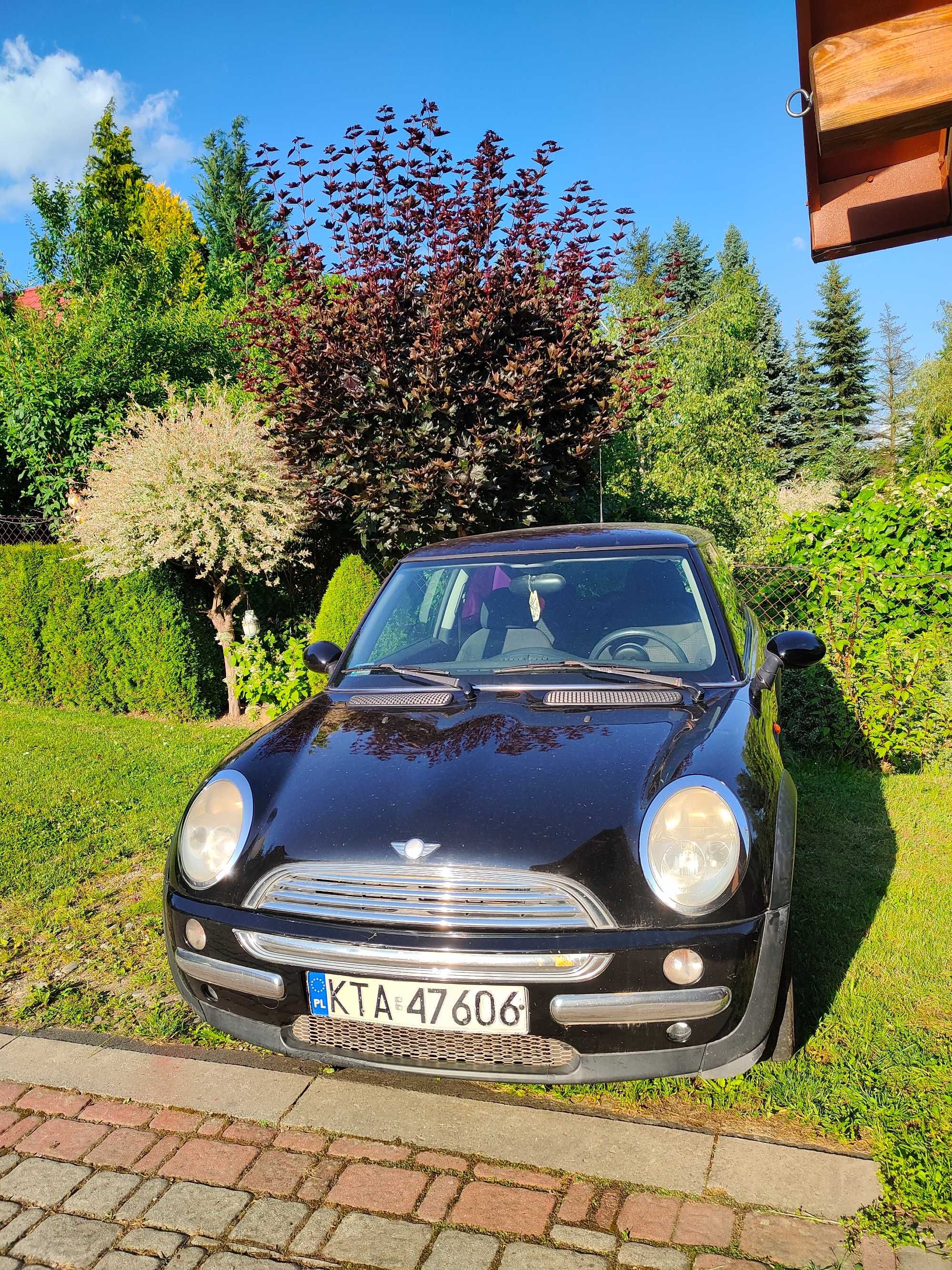 Mini One - 1.6 Benzyna (2002)
