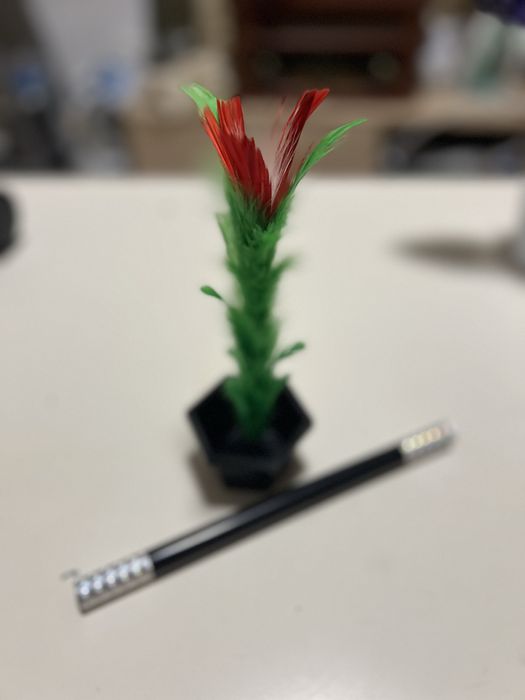 Magiczna sztuczka „kwiatek”