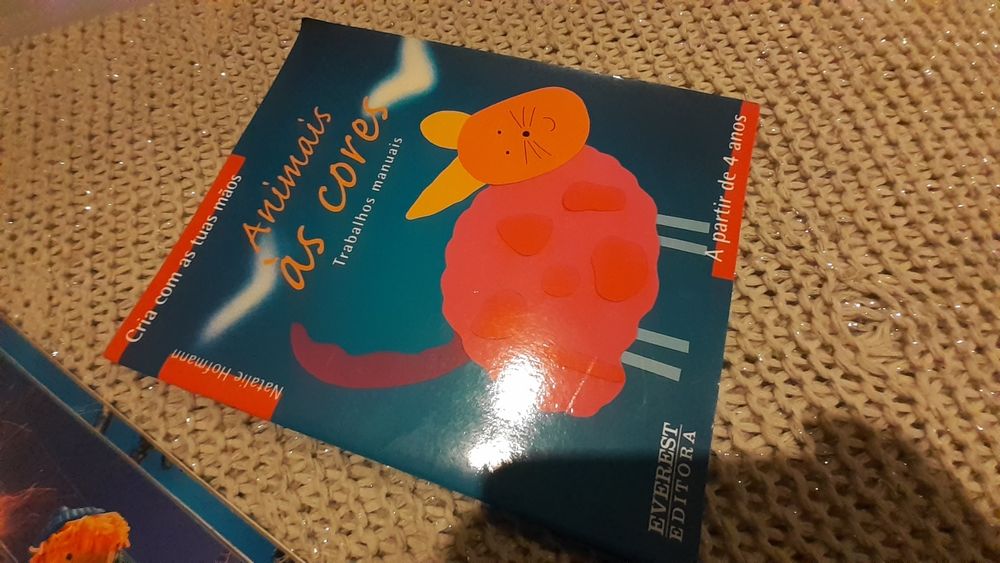 Colecao livros cria com as tuas mãos