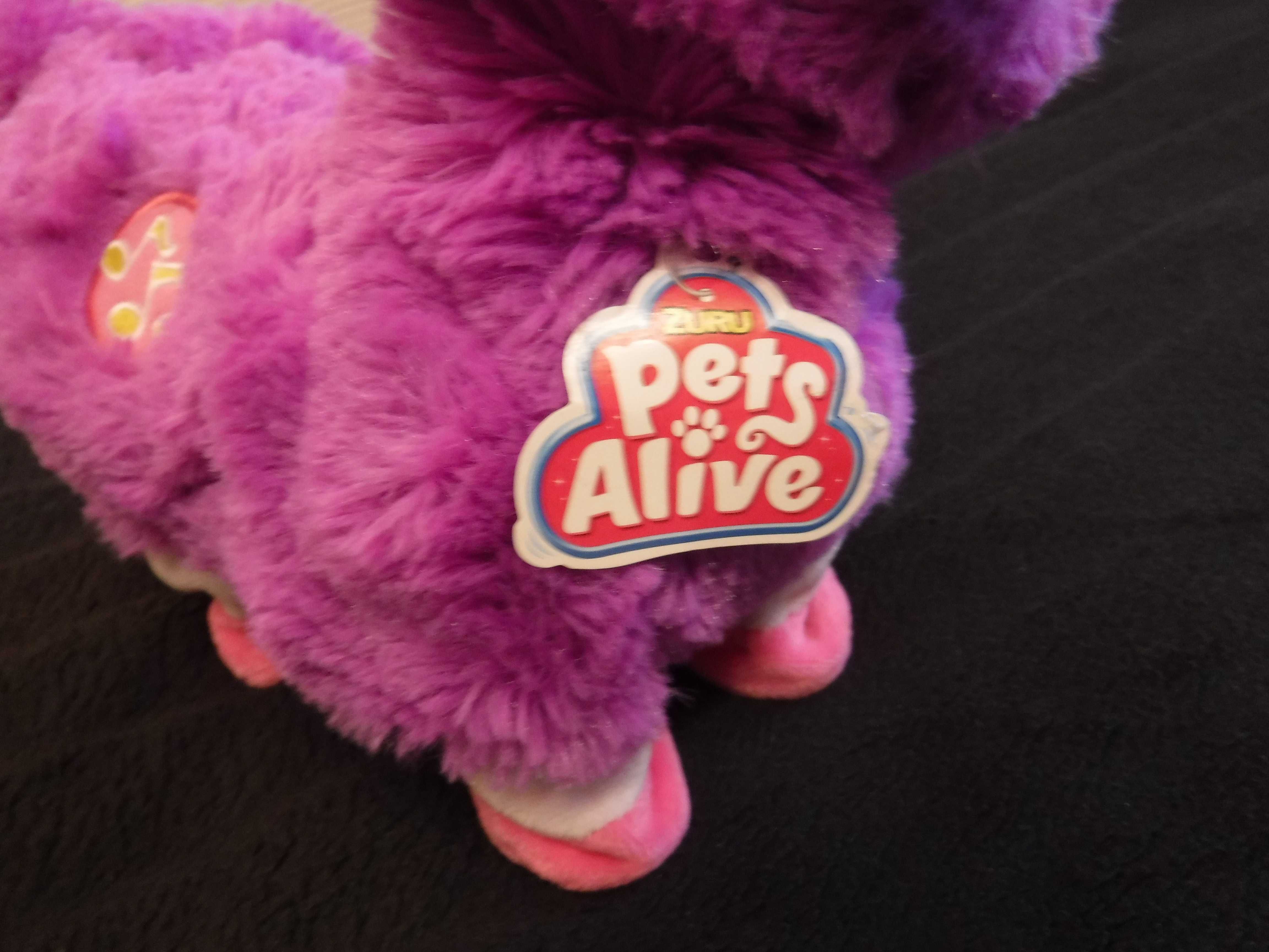 Zuru Pets Alive Interaktywna Tańcząca Lama