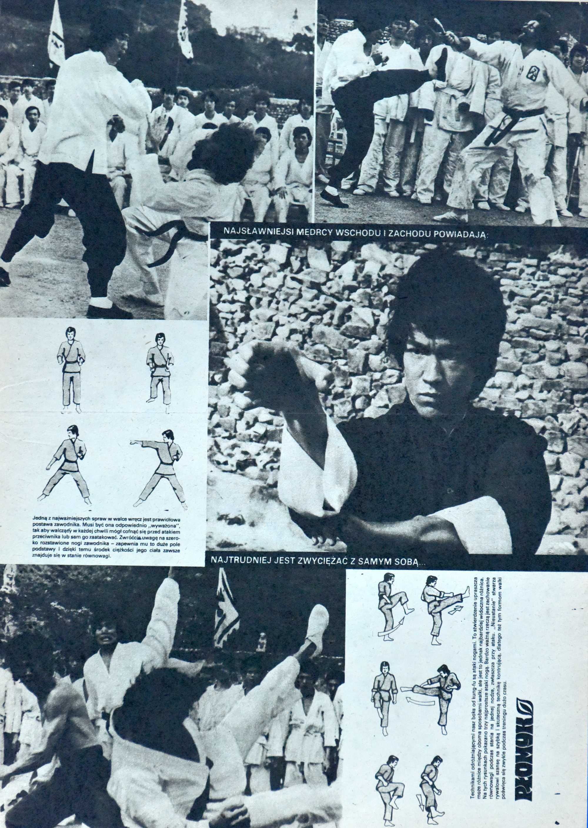 Bruce Lee - plakat