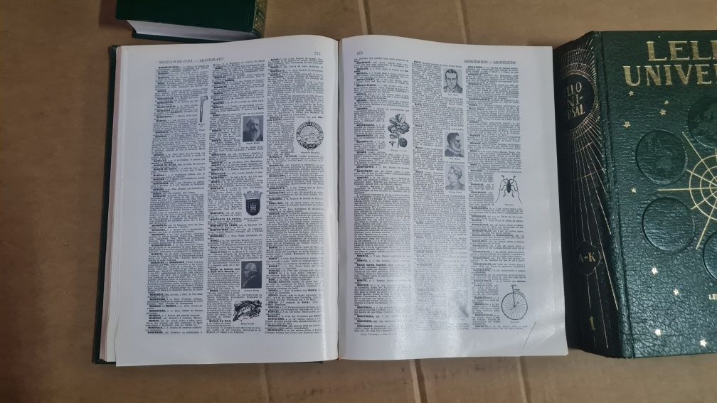 Dicionarios enciclopedicos Lello & Irmão  2 volumes nunca usados