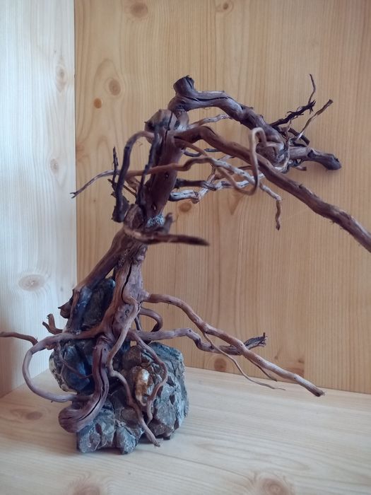 Акваріумний бонсай, акваріумні декорації